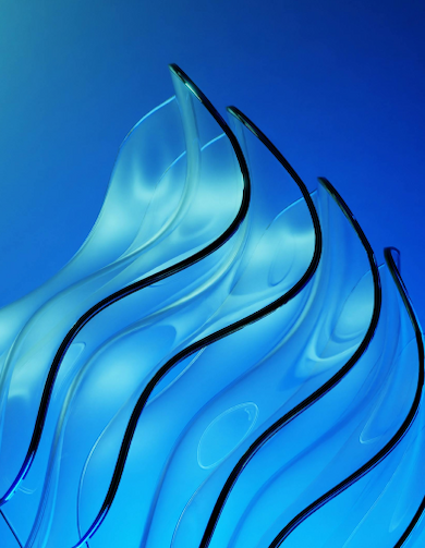 Client FAQs Web Design Tall