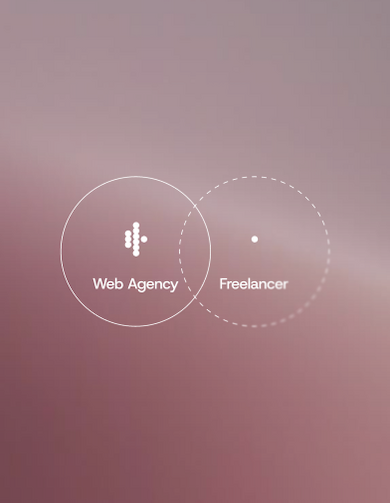 Web Agency Or Freelancer